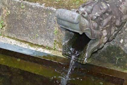 「瑞泉」という銘柄の由来