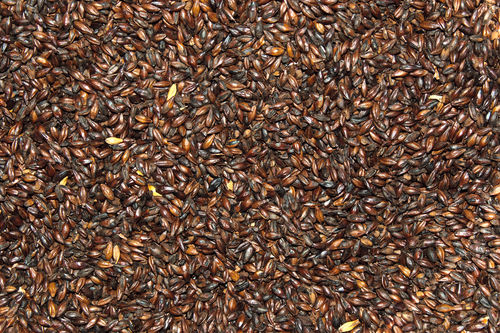 「チョコビール」の造り方は大きく分けて2種類