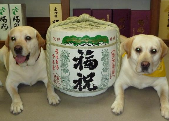 「福祝」の原料米にこだわったラインナップ