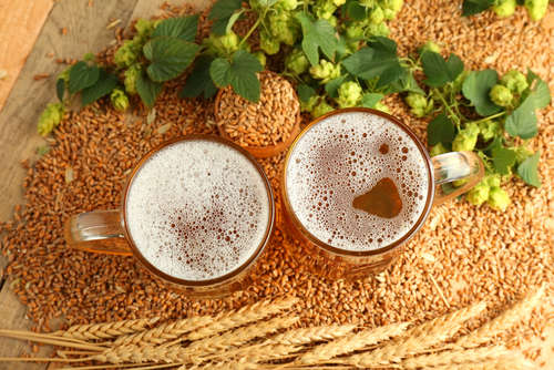 ビールの製造工程:大麦がビールになるまでのドラマ