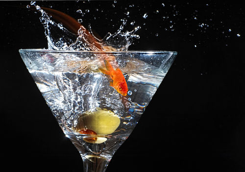 「金魚(金魚割り) 」は焼酎の飲み方の新定番