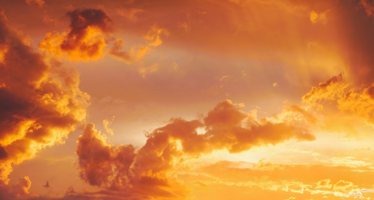 套牢還是價值投資？台灣處處都是股神巴菲特- TAROBO 大拇哥投顧