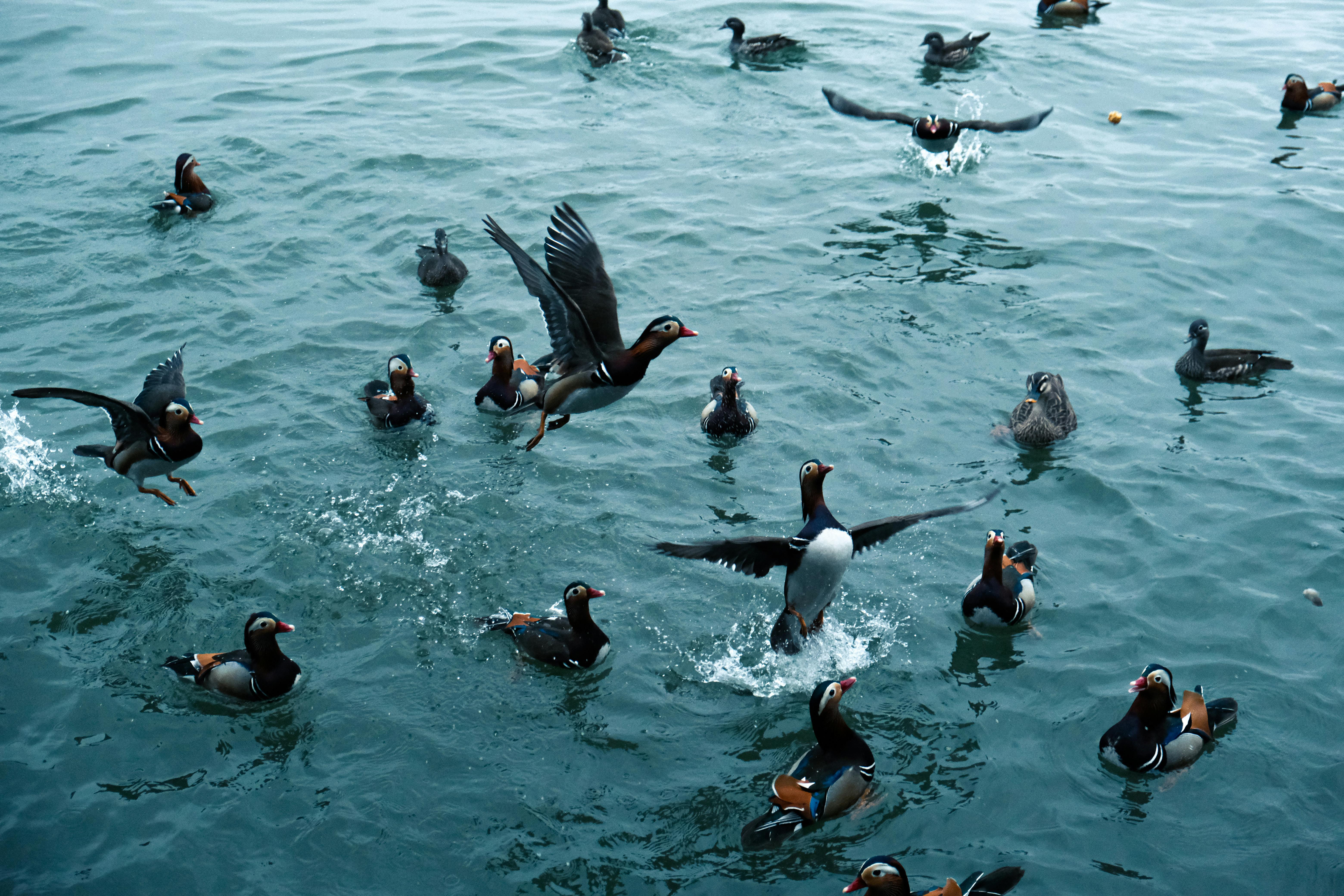 DeepSeek鬆動美股，Nvidia財報透露哪些AI動向？ - TAROBO 大拇哥投顧