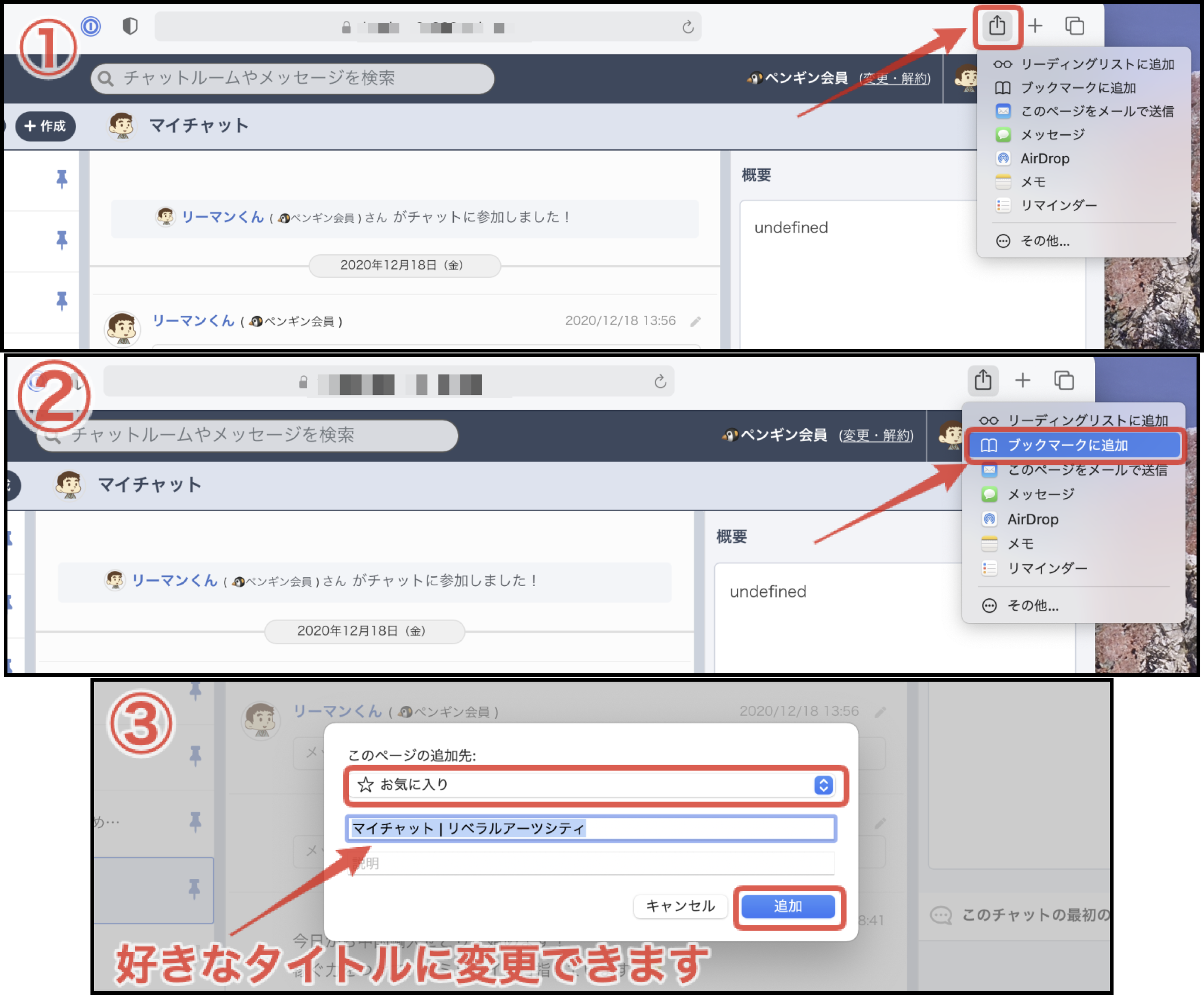 サファリ1から3.png