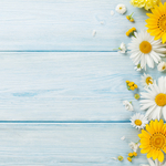 友人への結婚祝い！お花を贈る時に気をつけるべき5つのこと