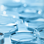 注目の新成分！ 「プランクトンエキス」で肌のハリを取り戻す！