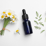 化粧品について紹介　よく配合されている、カミツレ花エキスってどんな成分？