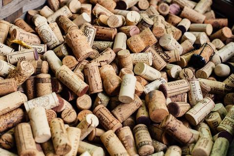Beautiful Free Images | Unsplash