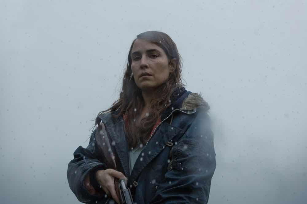 冰島驚悚片《羊懼》片名一出就驚呆！金獎發行品牌「A24」強勢搶下！