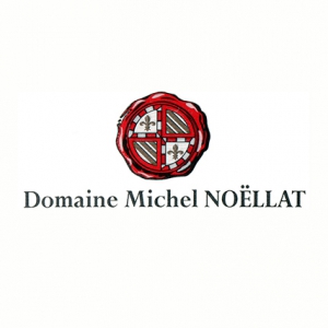 Michel Noellat