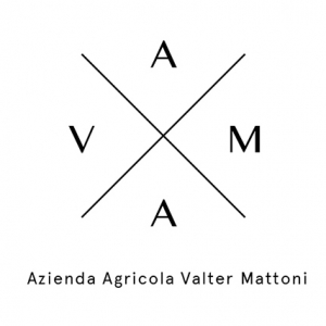 Valter Mattoni