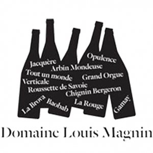 Louis Magnin