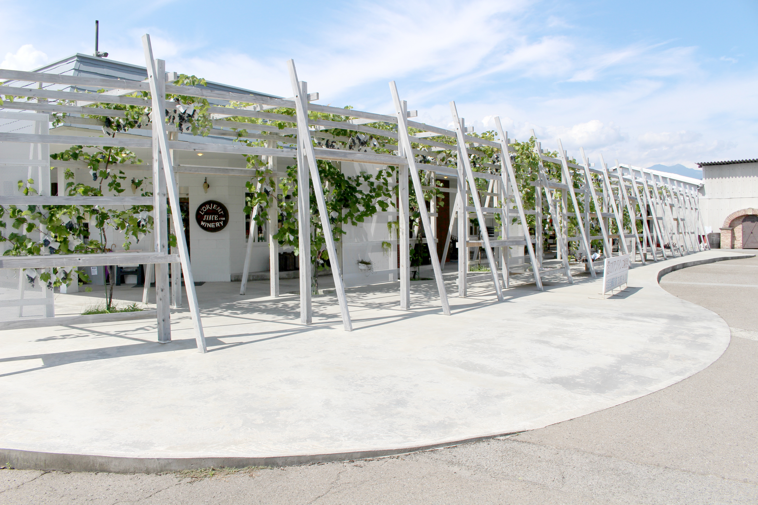 不只日本酒 備受世界矚目的日本紅酒登場 The Gate