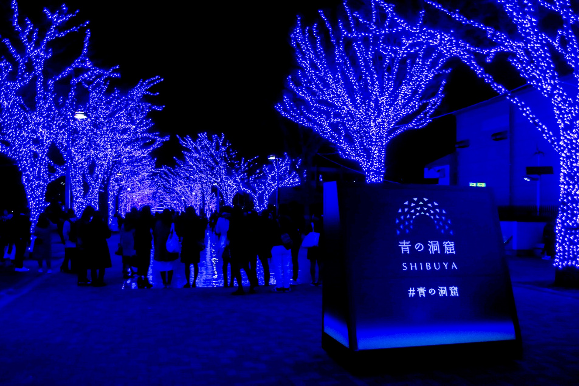 Papan Iluminasi Ao no Dokutsu SHIBUYA di Taman Yoyogi