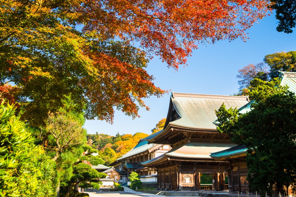 建長寺的外觀和紅葉