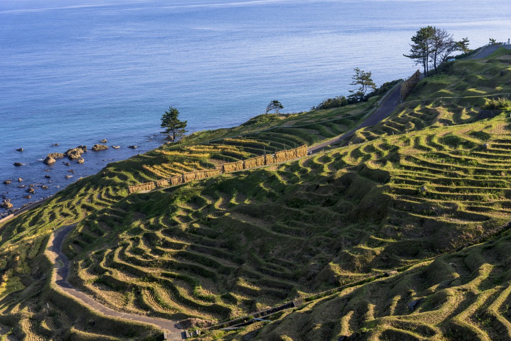 聚焦石川县 能登半岛 独特的传统工艺 The Gate 日本旅游观光杂志 提供观光旅游信息