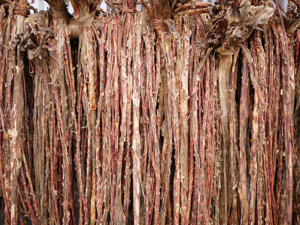 Washi’s main ingredient, dried mulberry