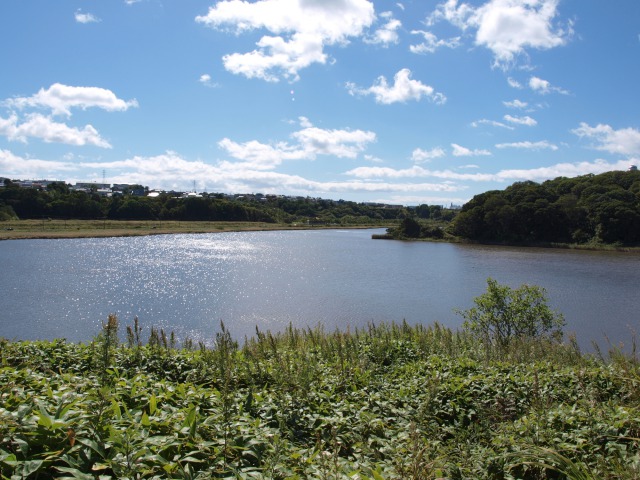 春採公園