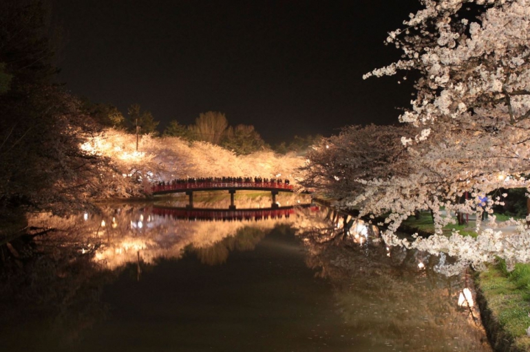 Nishi-moat, cherry blossom tunnel, and Shunyo-bashi Bridge