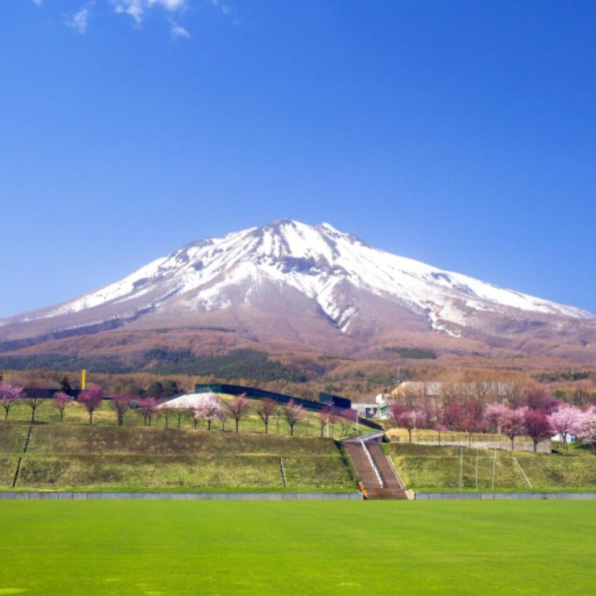 mountain peak bike made in