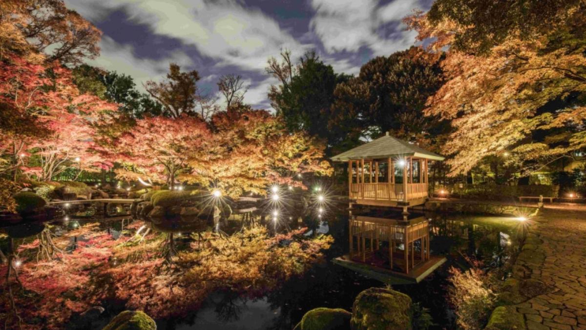 东京都内 夜晚点灯 来去看日本庭园的美丽红叶吧 The Gate 日本旅游观光杂志 提供观光旅游信息