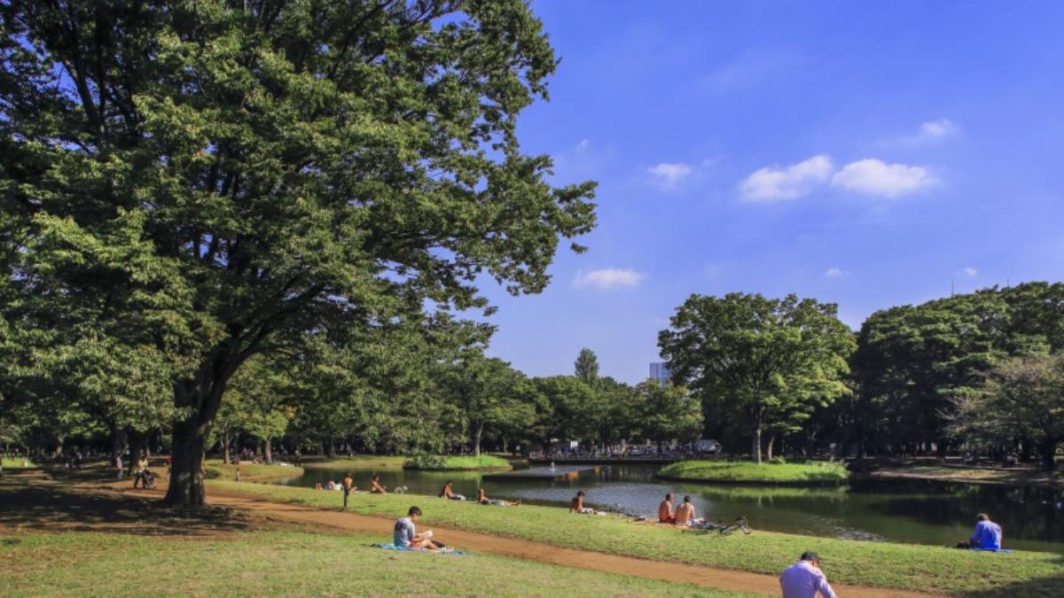 代々木公園 都心で一番広い空が見える公園に行こう The Gate 日本の旅行観光マガジン 観光旅行情報掲載