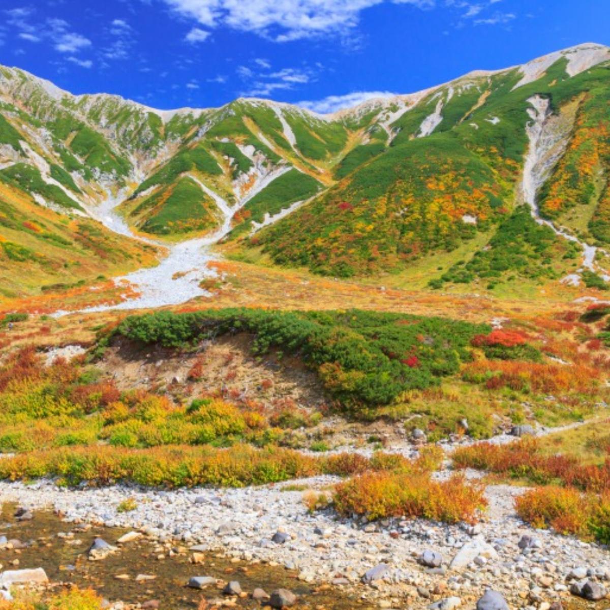 尽情游玩年秋天的 立山黑部阿尔卑斯山脉路线 吧 The Gate 日本旅游观光杂志 提供观光旅游信息