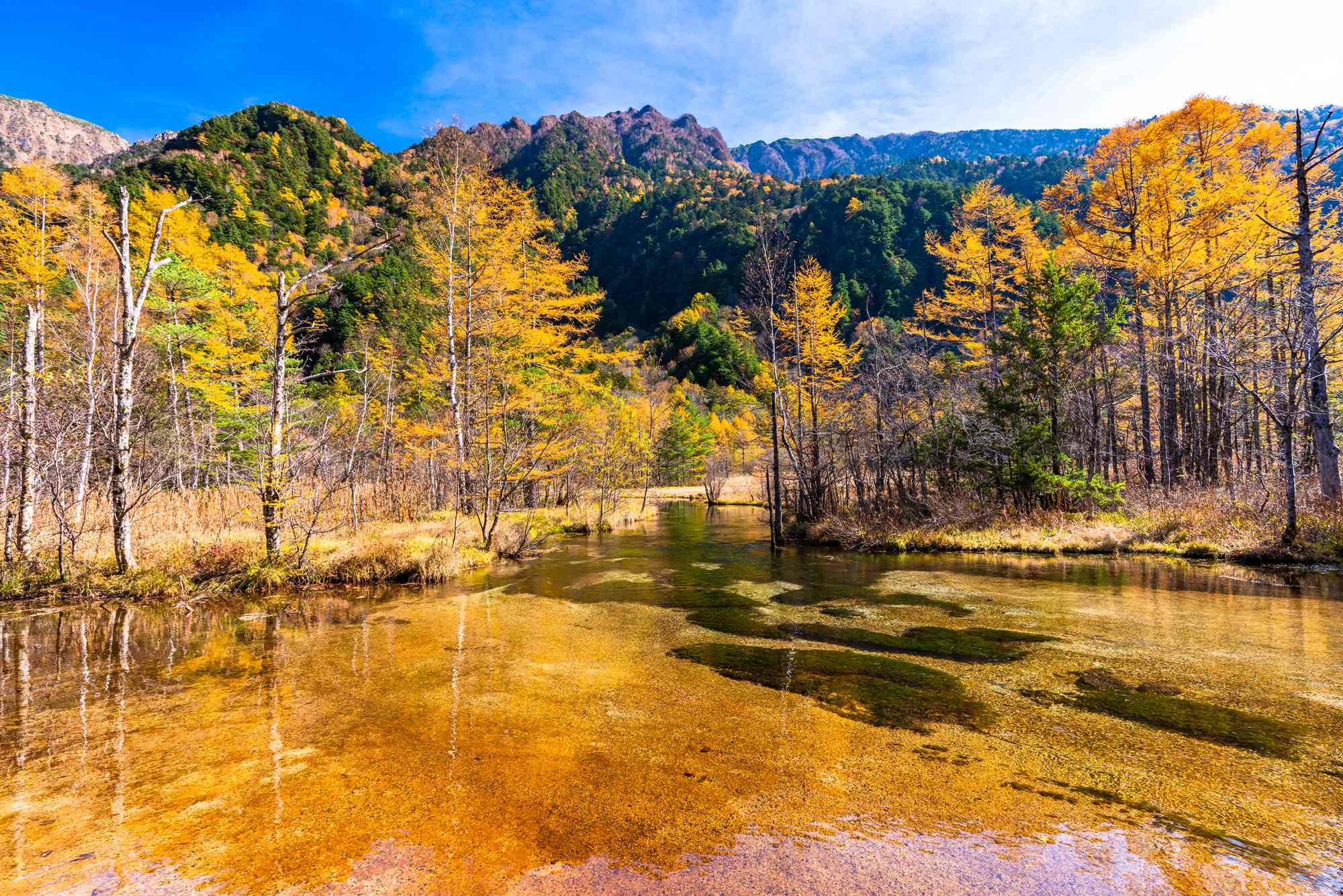 上高地の田代池の紅葉