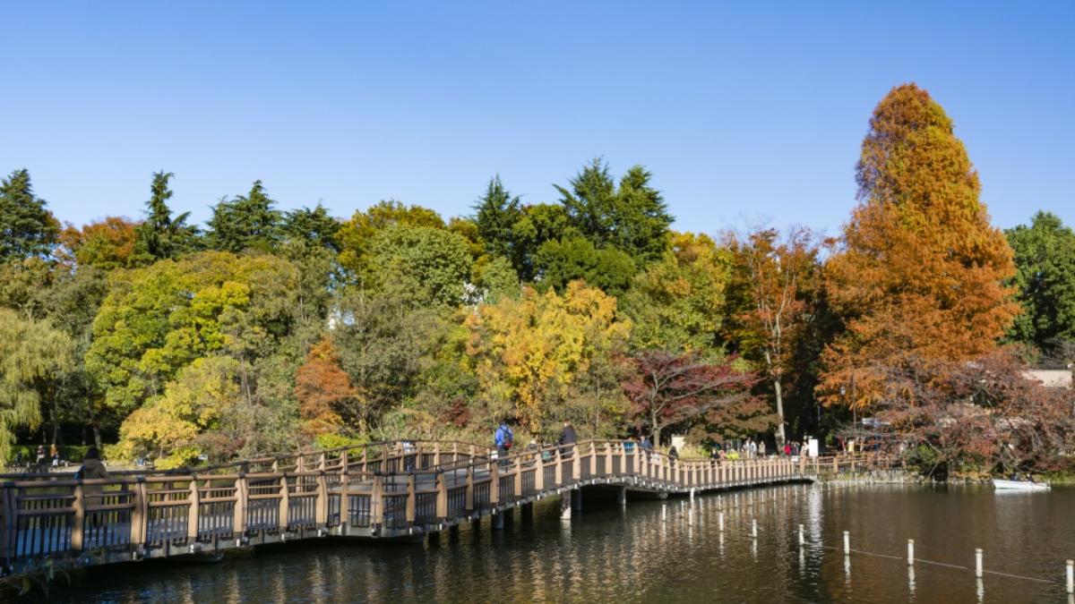 吉祥寺井之头恩赐公园 闹市中寻得一隅静谧 The Gate 日本旅游观光杂志 提供观光旅游信息