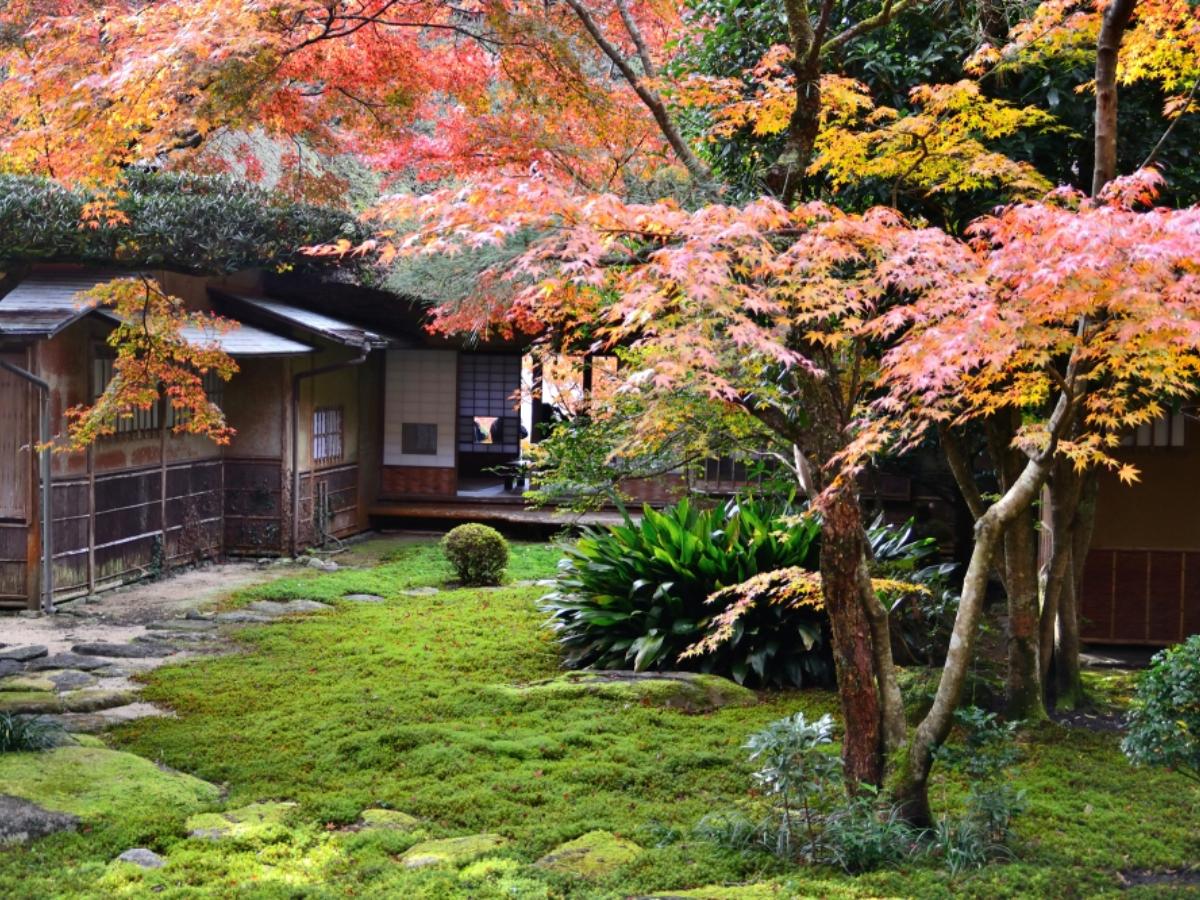 九 年 庵