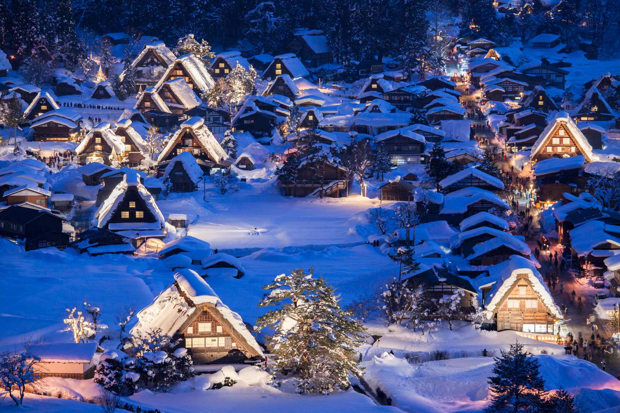 白川陸斗