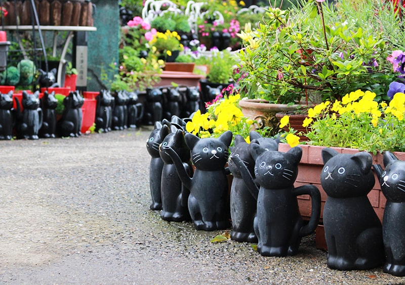 境内に並ぶ黒猫のジョウロもかわいらしい