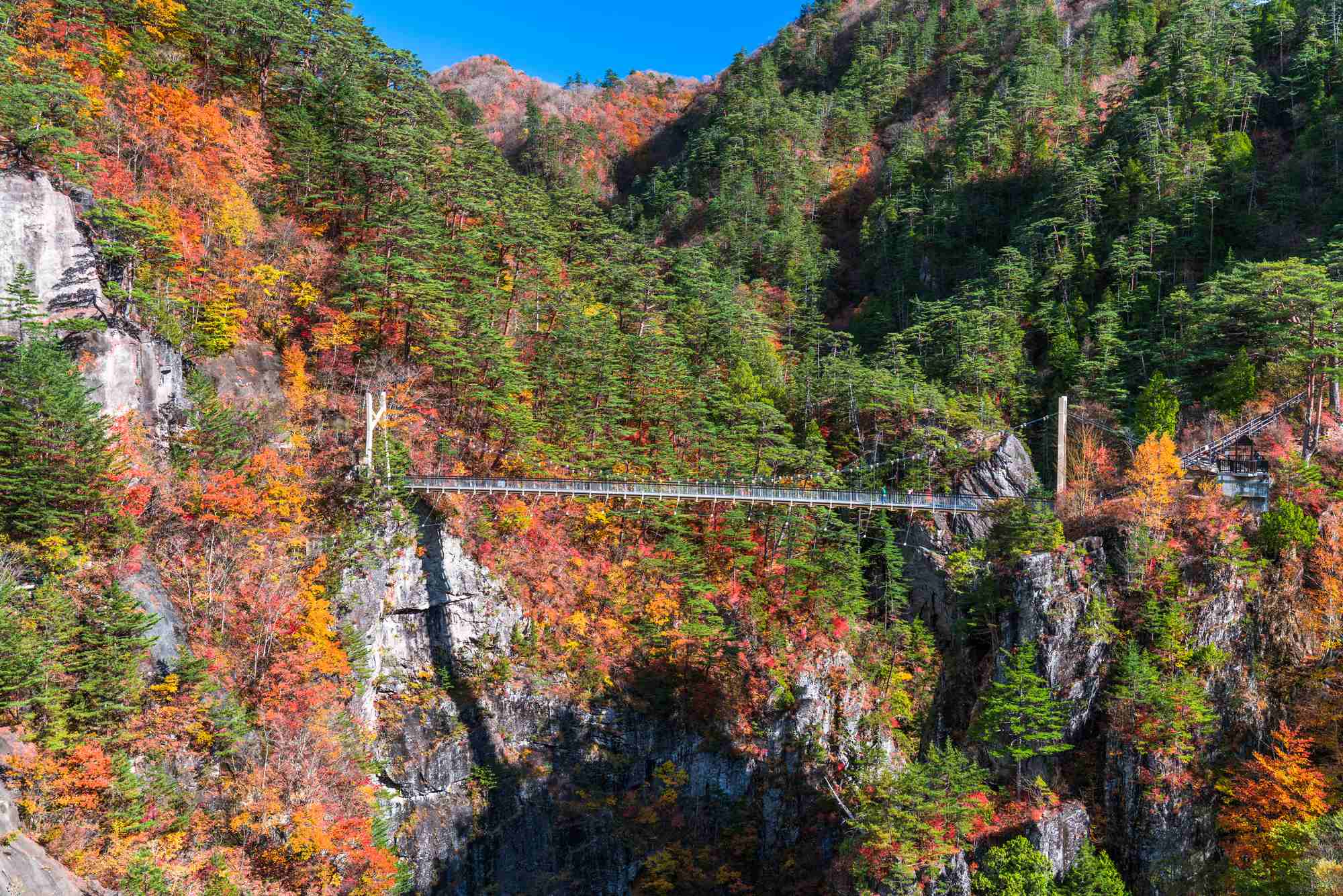 紅葉シーズンの瀬戸合峡