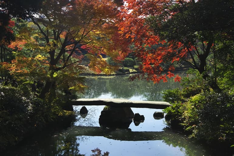 Rikugien Gardens during Fall