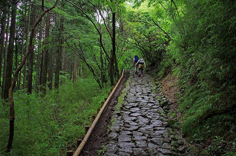 箱根舊街道