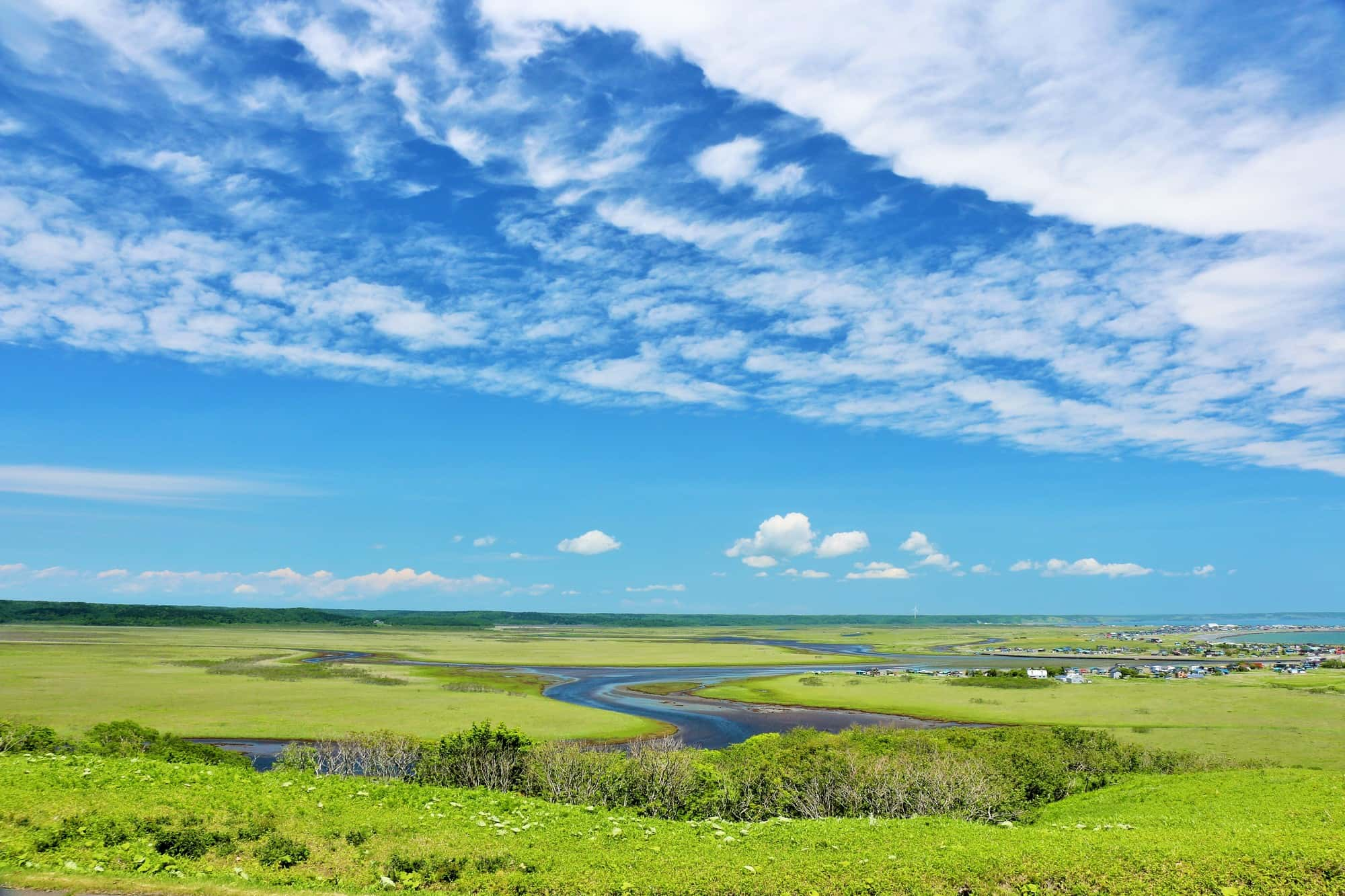 Kiritappu wetlands on a sunny day