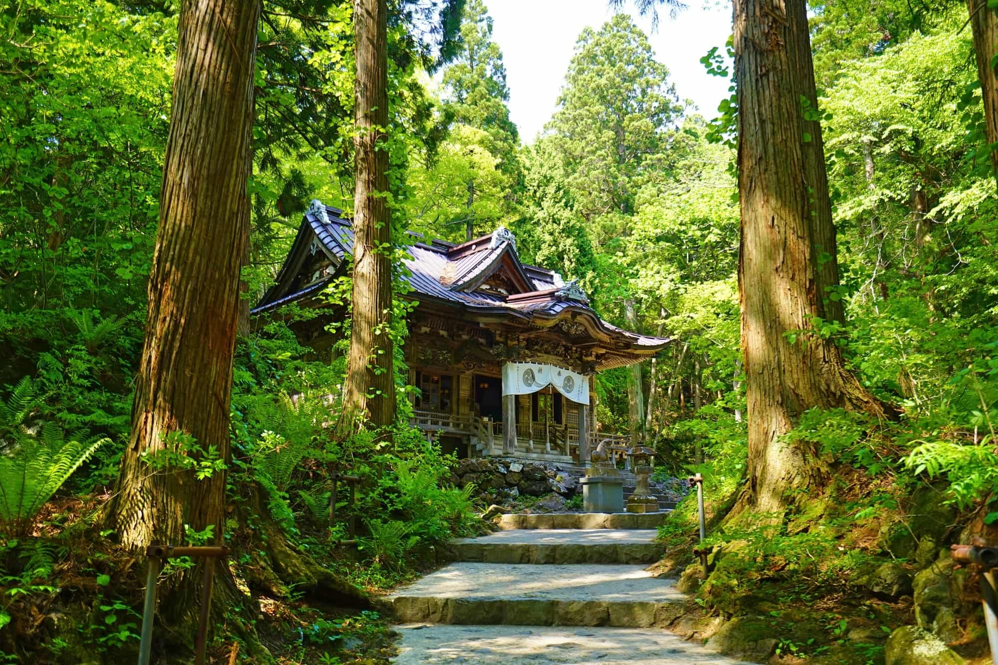 Towada Shrine surrounded by trees in a forest