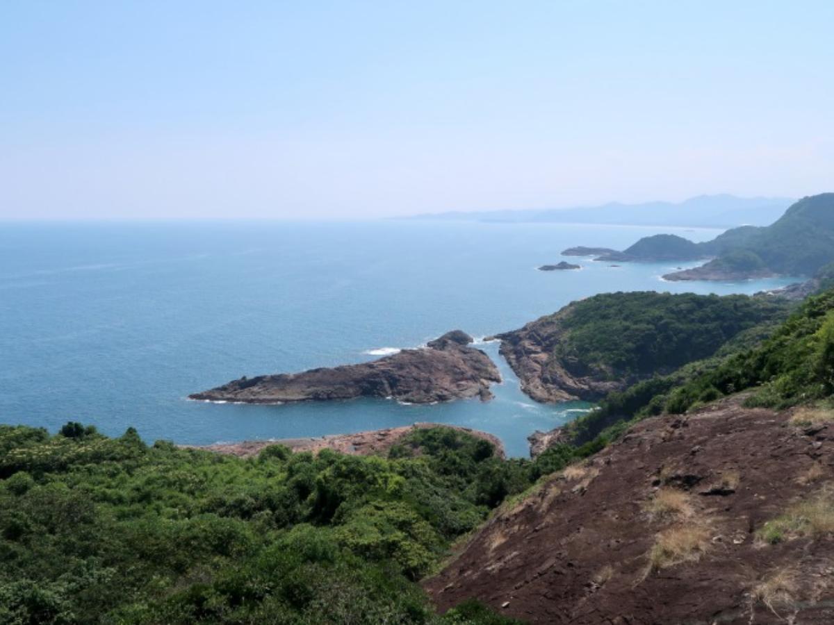 日向岬】の絶景スポットで1,500万年前の神秘的な大自然を体感