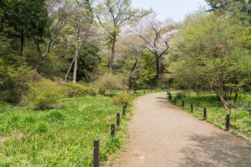 国立科学博物館附属 自然教育園