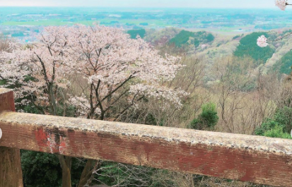 お花見・桜名所　太平山
