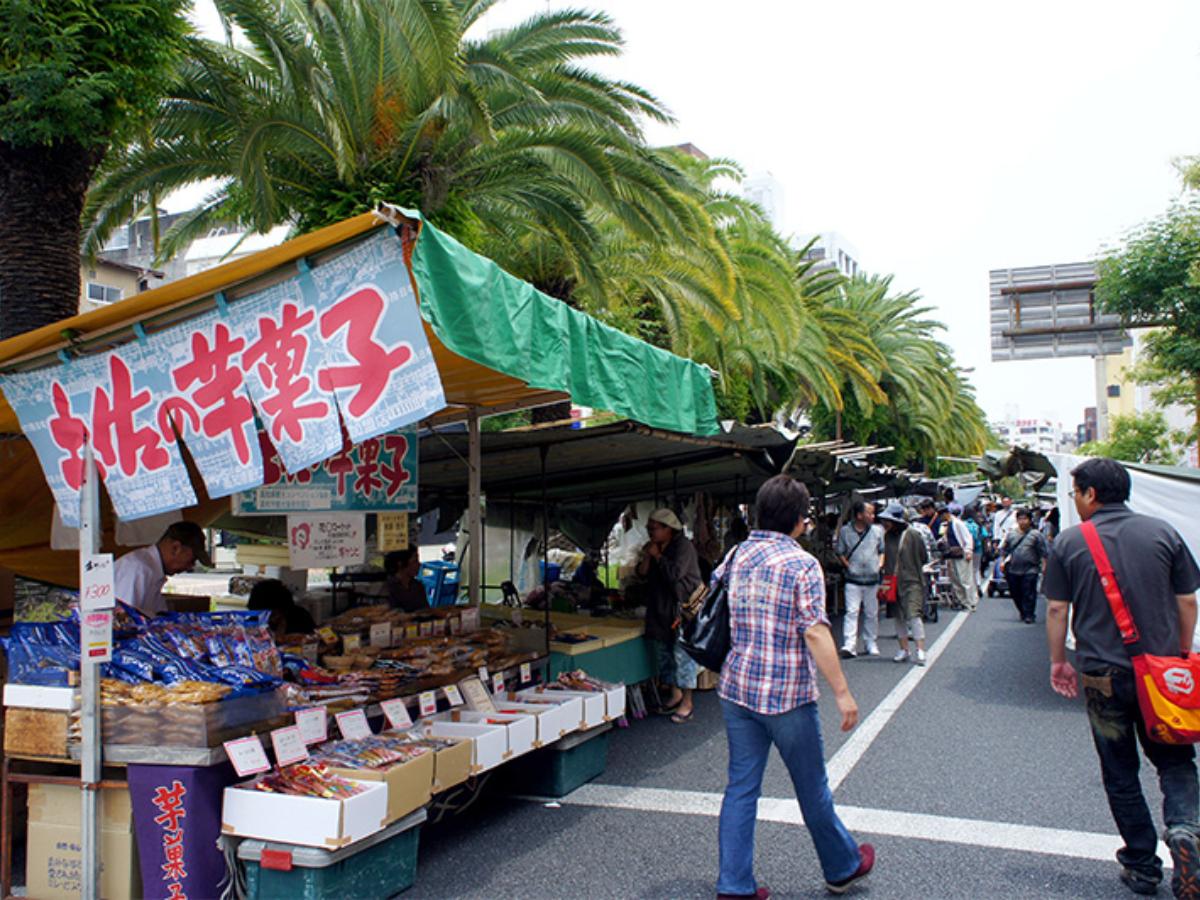 高知 日曜 市