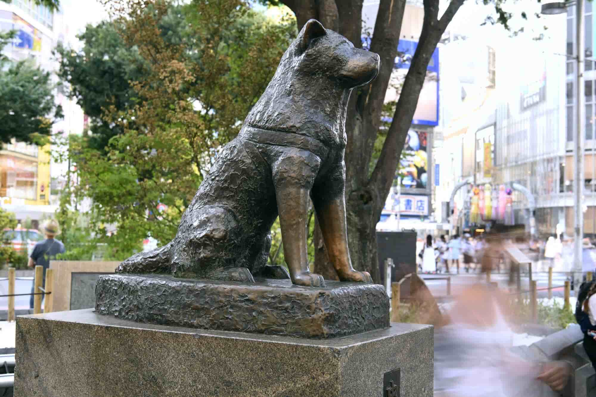 Hachiko Statue Shibuya THE GATE Japan Travel Magazine Find Tourism Hachiko Statue Shibuya THE GATE Japan Travel Magazine Find Tourism