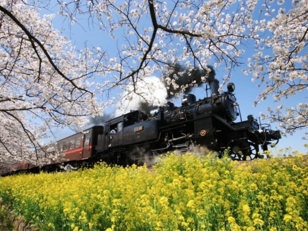 Slもおか 都心から日帰りでsl体験 真岡鐵道で行く益子焼の旅 The Gate 日本の旅行観光マガジン 観光旅行情報掲載