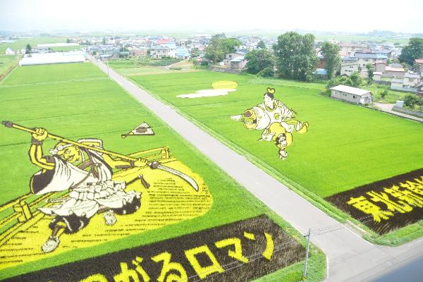 青森県田舎館村の田んぼアート