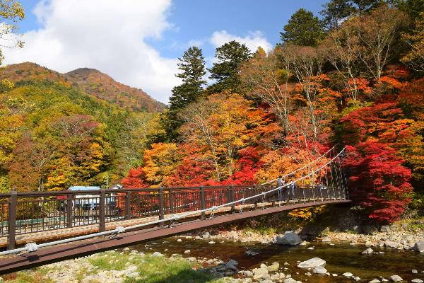 紅葉と紅の吊橋