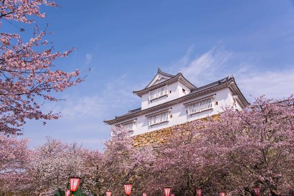 岡山県 津山市 の新着スポット 1ページ目 The Gate 日本の旅行観光マガジン 観光旅行情報掲載