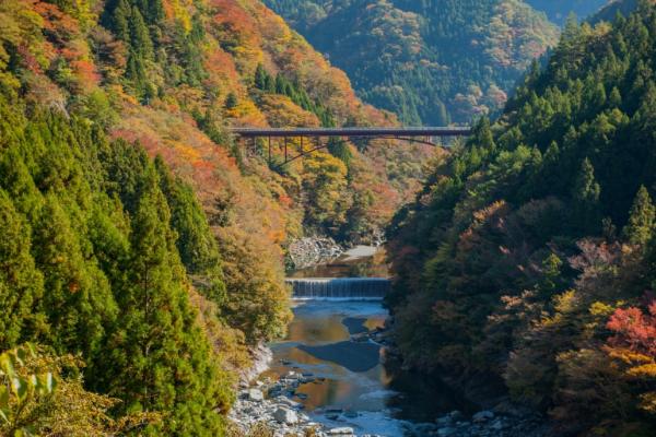 德岛 祖谷溪 景点一览 第1页 The Gate 日本旅游观光杂志 提供观光旅游信息