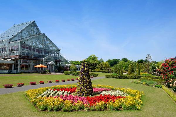 清水公園の花ファンタジア