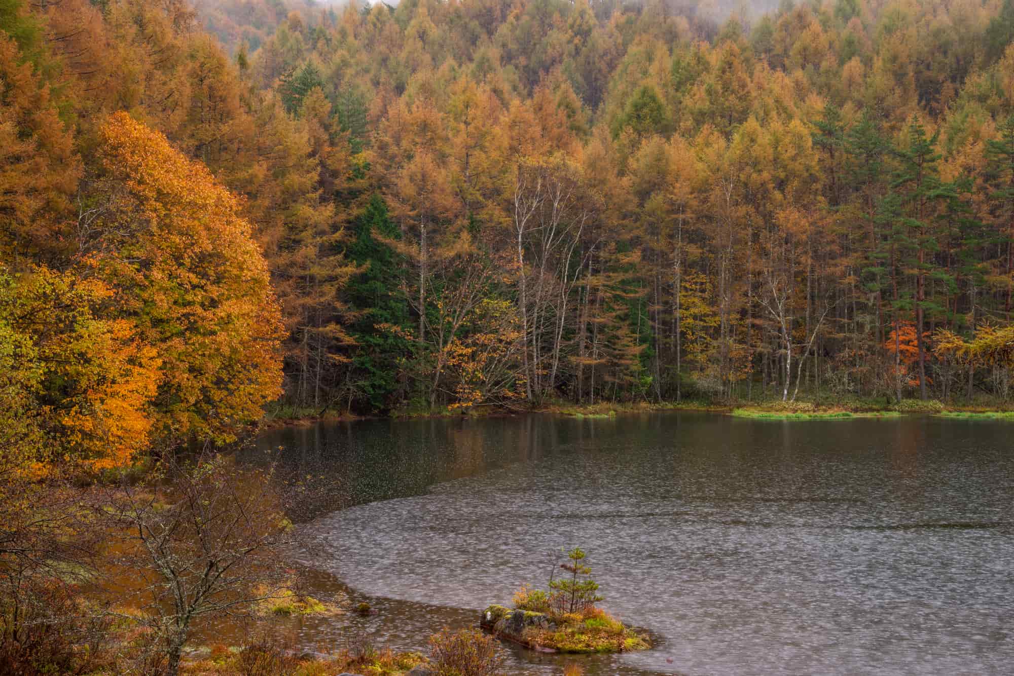 ロマンチック過ぎ 雨 の情緒溢れる名前の種類を徹底解説 The Gate 日本の旅行観光マガジン 観光旅行情報掲載