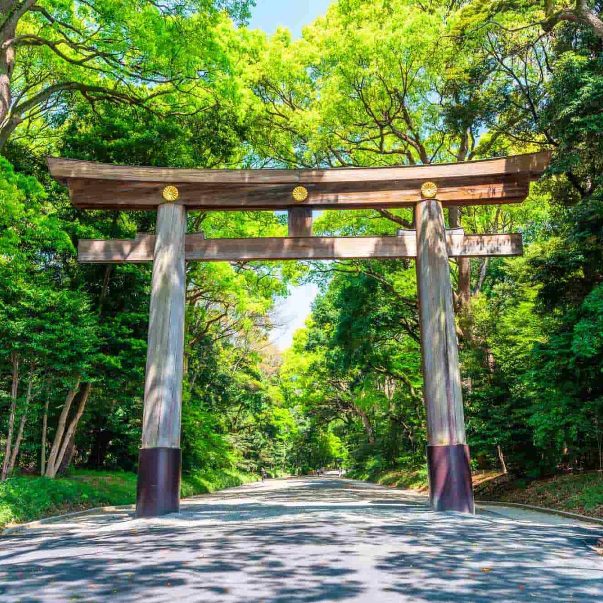 明治神宮御軸　明治神宮 参拝だけで終わりじゃない！ 明治神宮観光で押さえておきたいたくさん